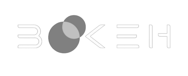 Bokeh Logo
